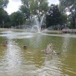 Springbrunnen im Donaupark